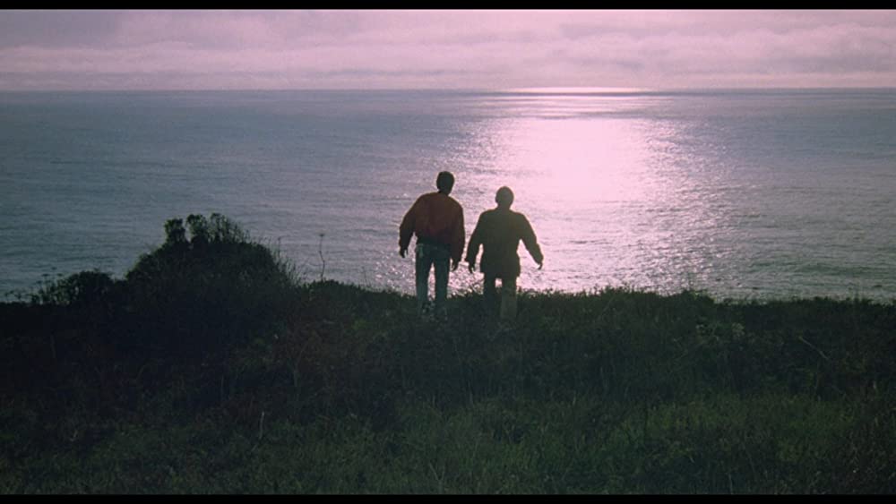 ベスト・キッド3 最後の挑戦の画像