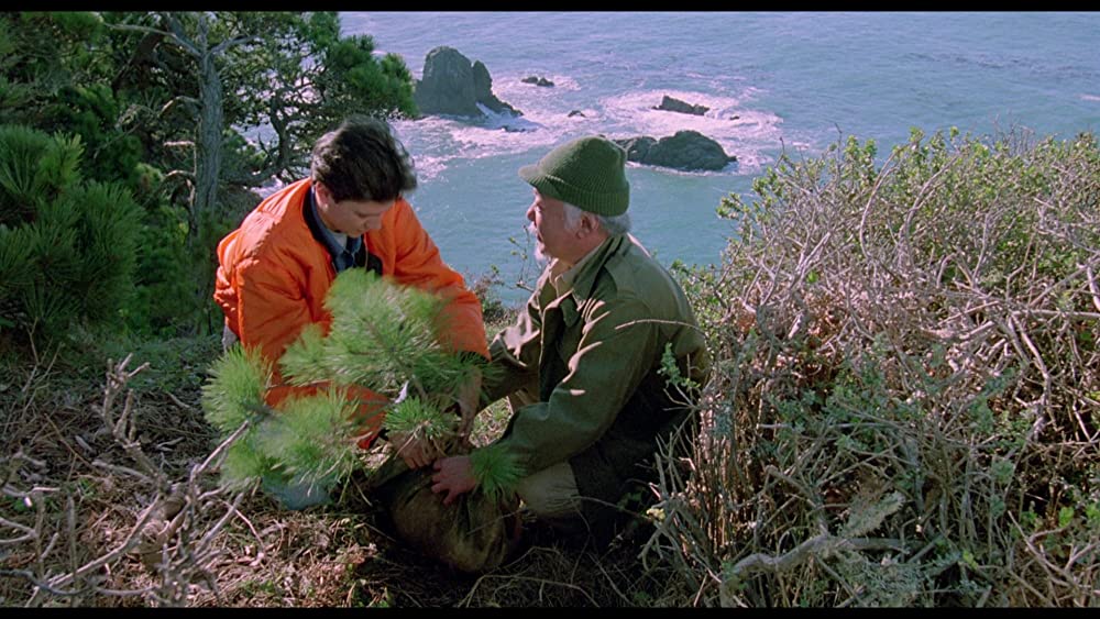 「ベスト・キッド3 最後の挑戦」ラルフ・マッチオ & 森田则之の画像