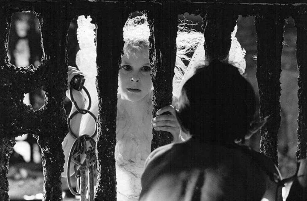 レジェンド／光と闇の伝説の画像