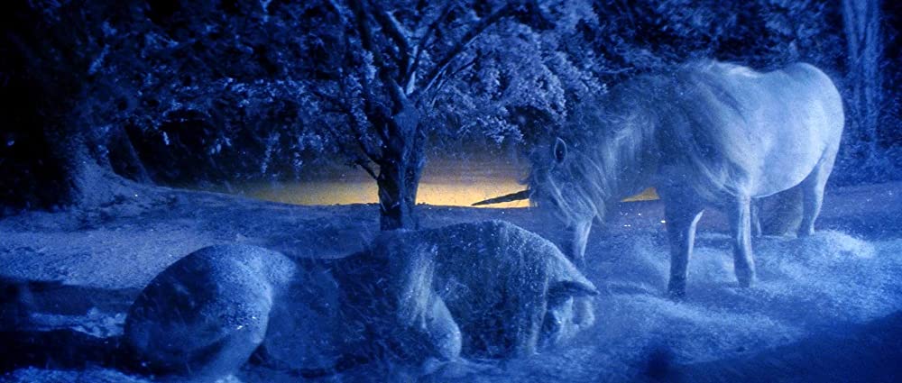 レジェンド／光と闇の伝説の画像