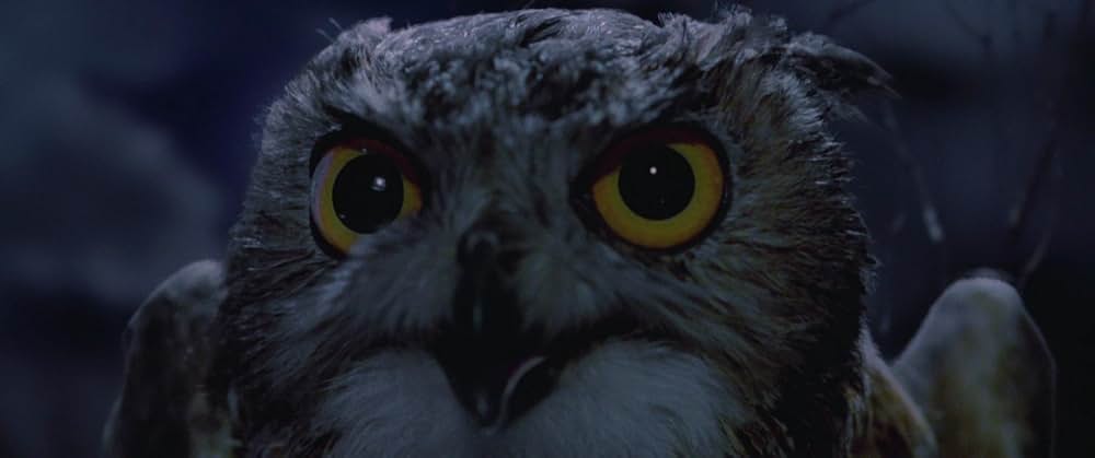 「レジェンド／光と闇の伝説」の画像