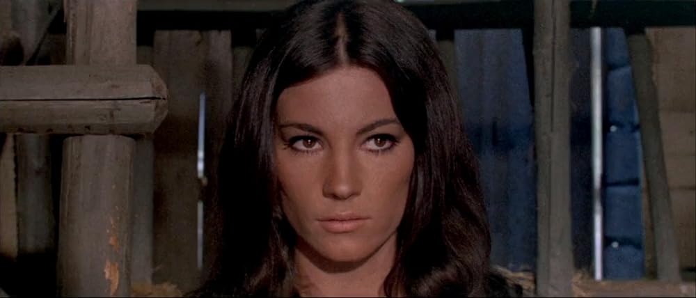 さすらいのガンマンの画像