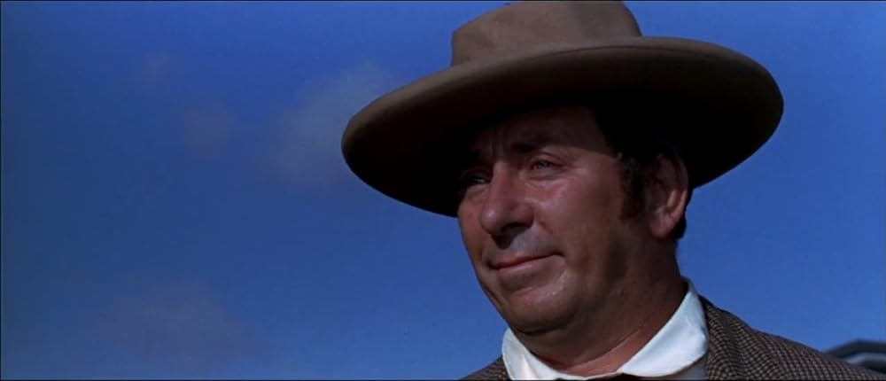 さすらいのガンマンの画像