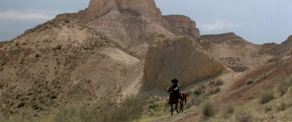 さすらいのガンマンの画像