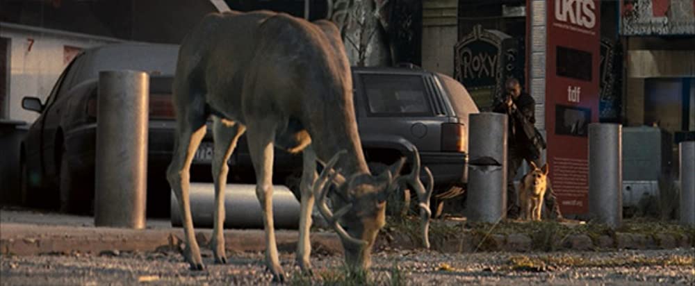 「アイ・アム・レジェンド」ウィル・スミスの画像