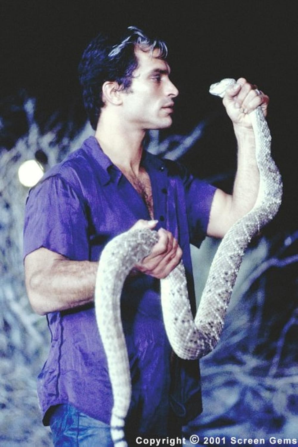 ヴァンパイア・ハンターの画像