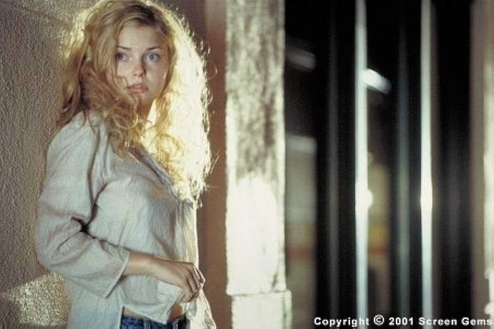 ヴァンパイア・ハンターの画像