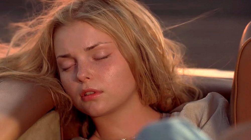 ヴァンパイア・ハンターの画像