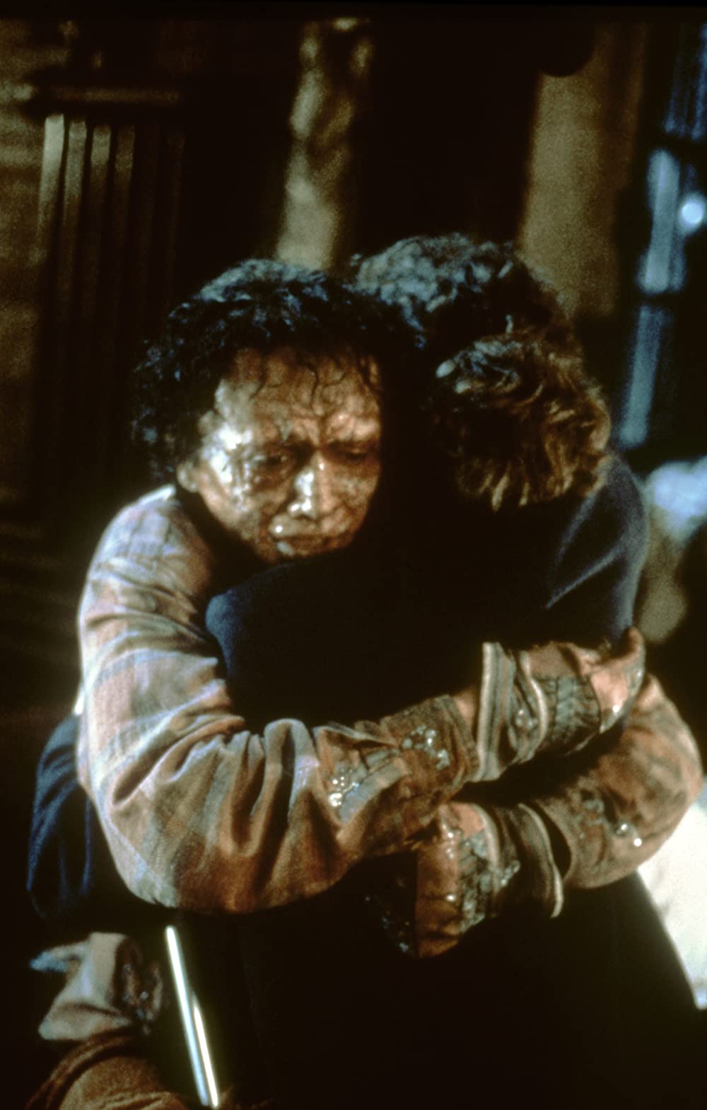 ザ・フライの画像