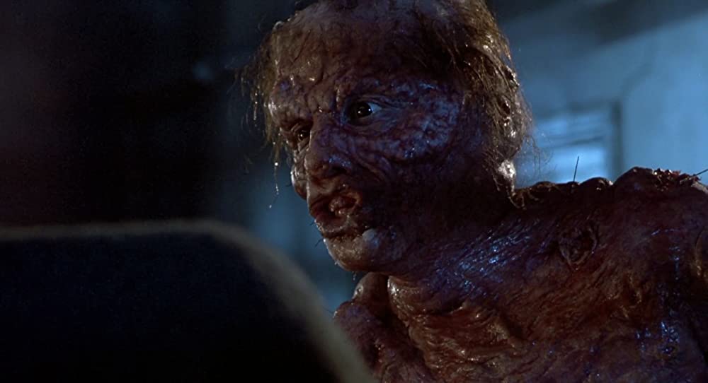 ザ・フライの画像