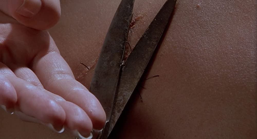 ザ・フライの画像