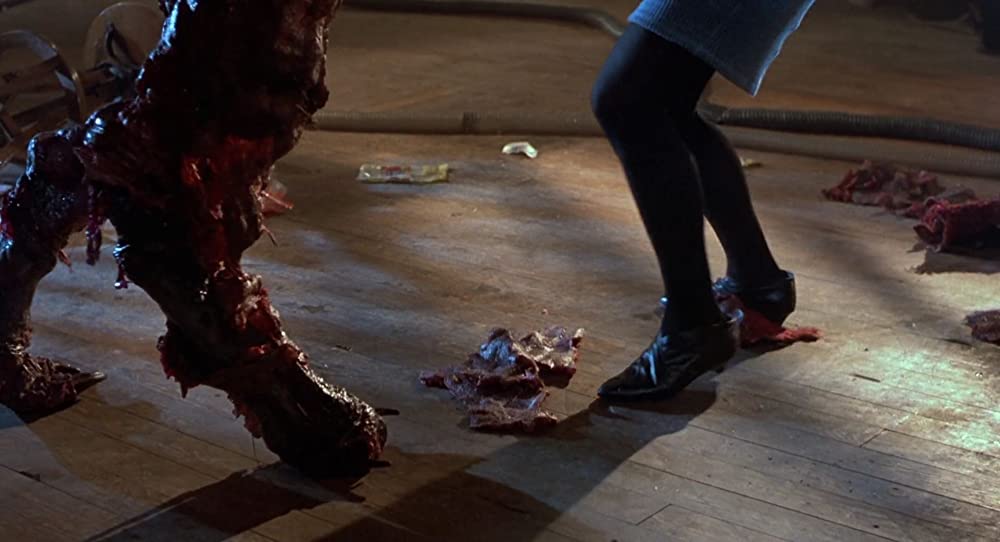 ザ・フライの画像