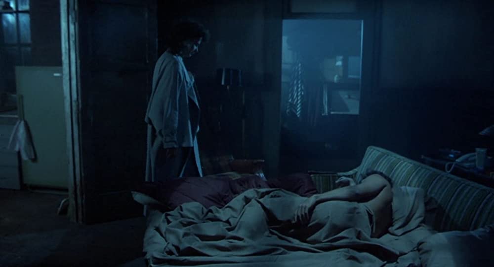 ザ・フライの画像