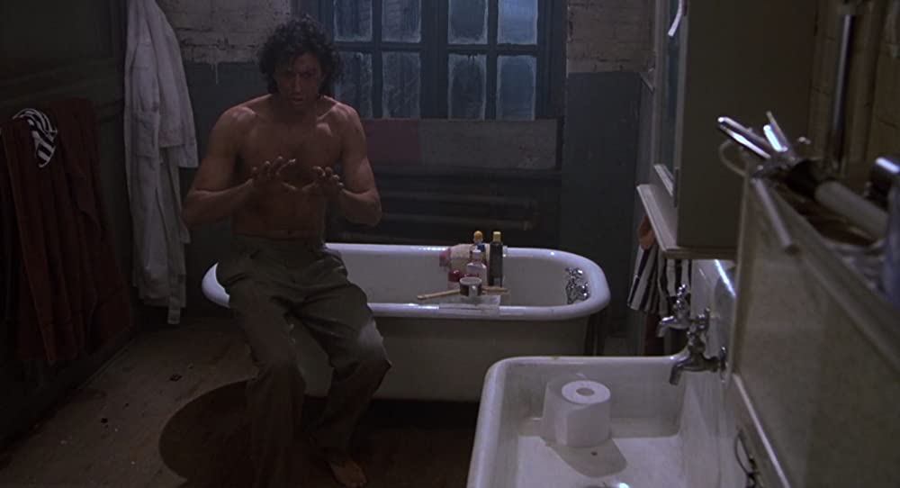 ザ・フライの画像