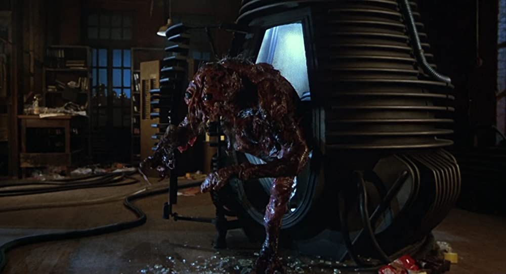 ザ・フライの画像