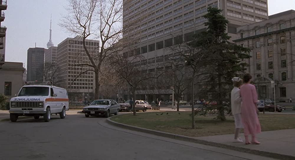 ザ・フライの画像