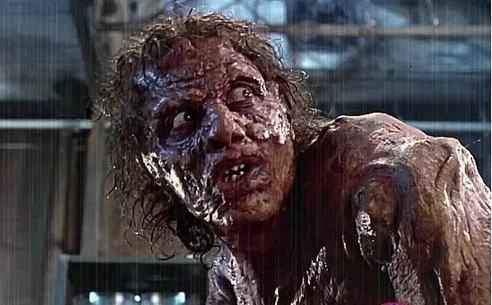 ザ・フライの画像