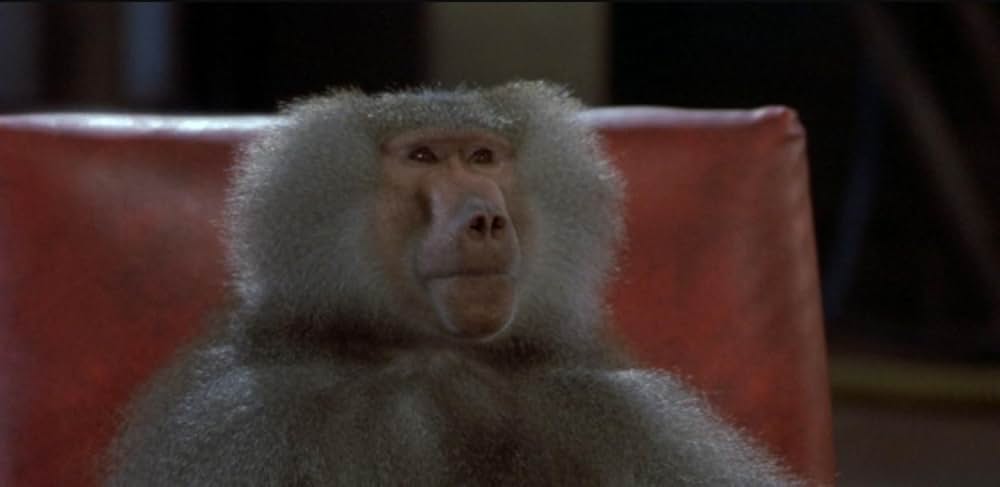 ザ・フライの画像