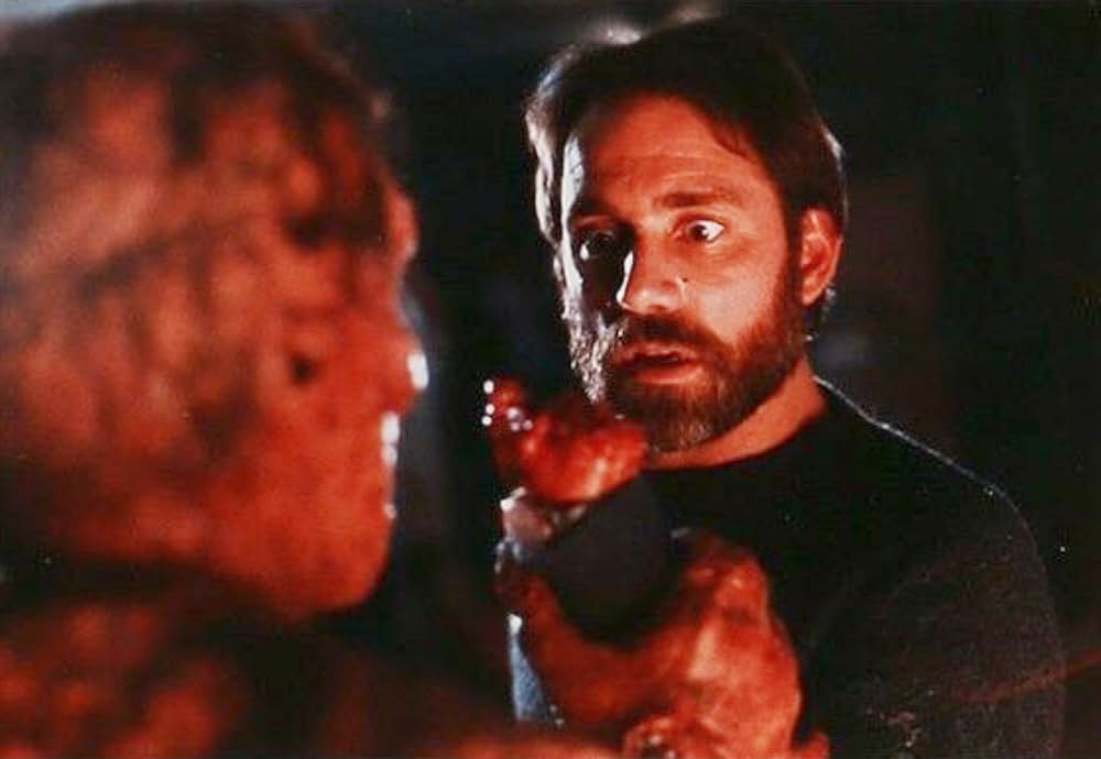 ザ・フライの画像