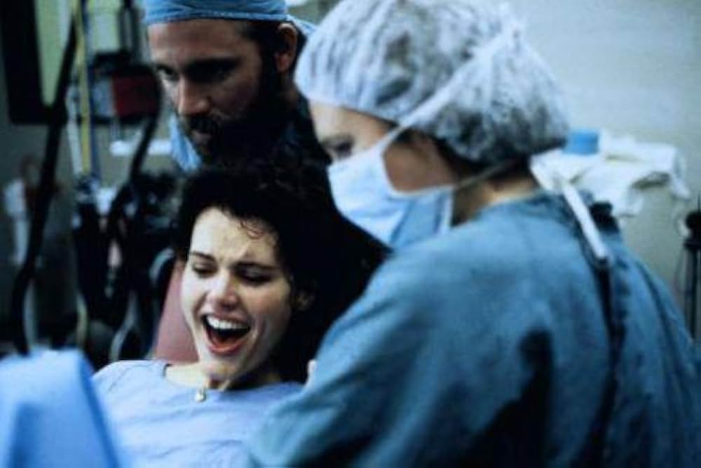 ザ・フライの画像