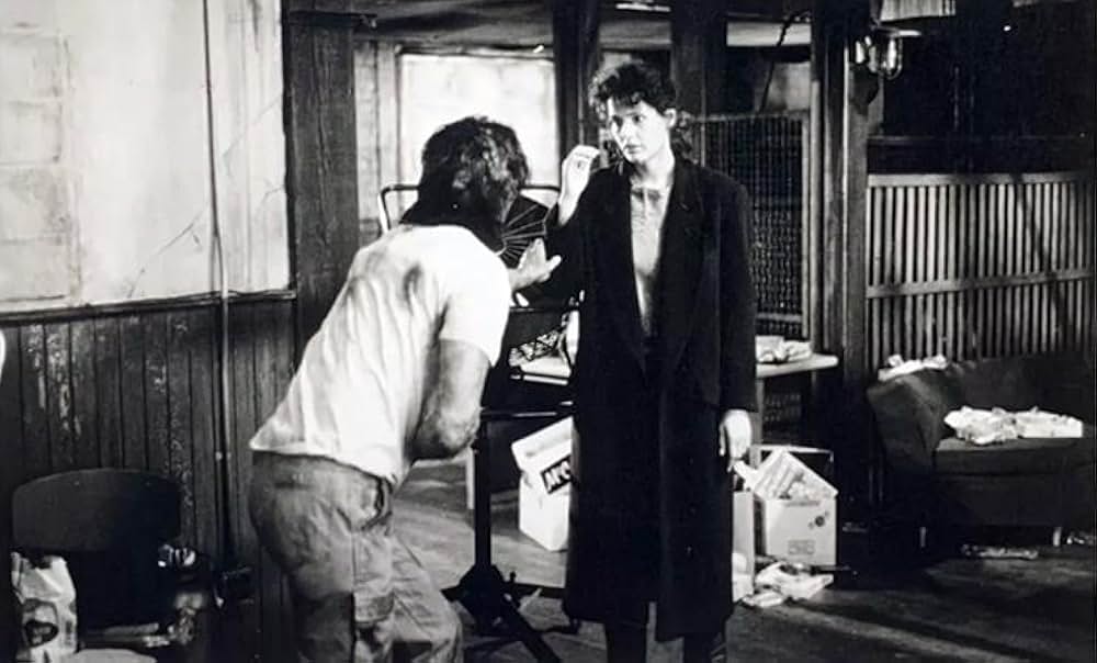 ザ・フライの画像