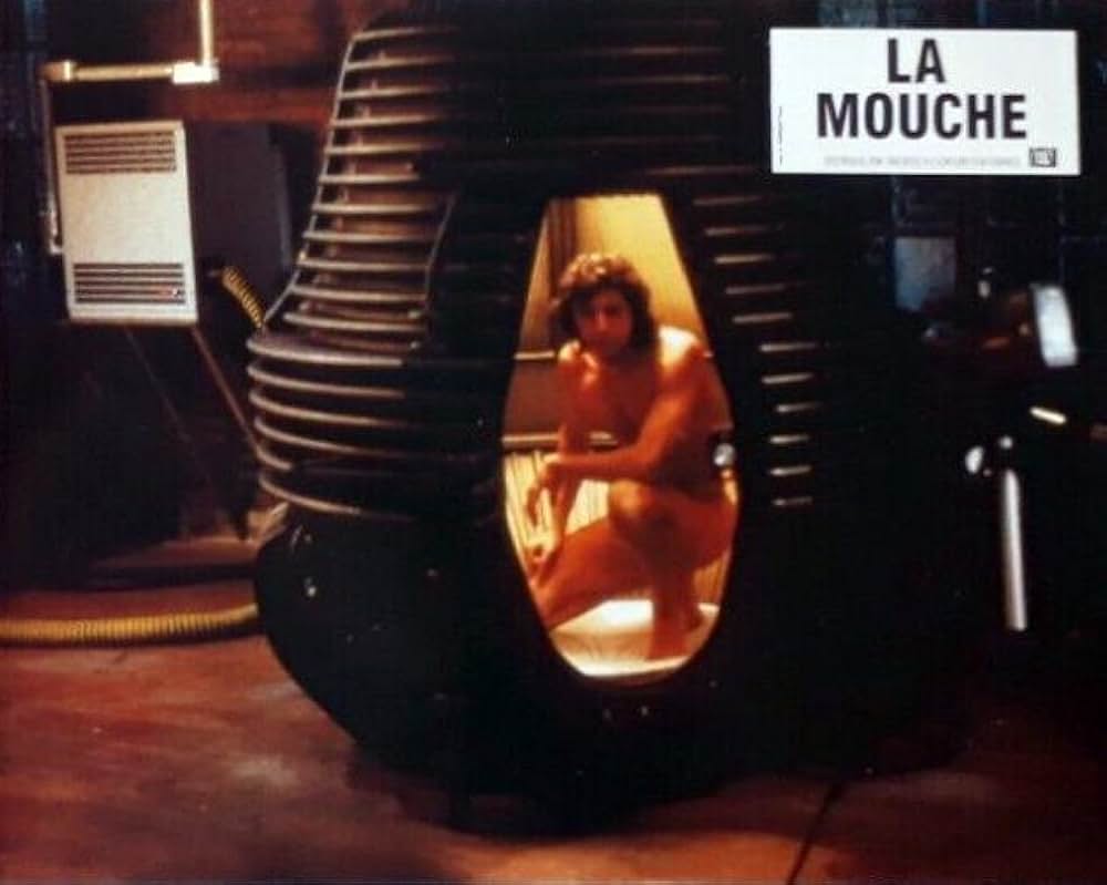 ザ・フライの画像