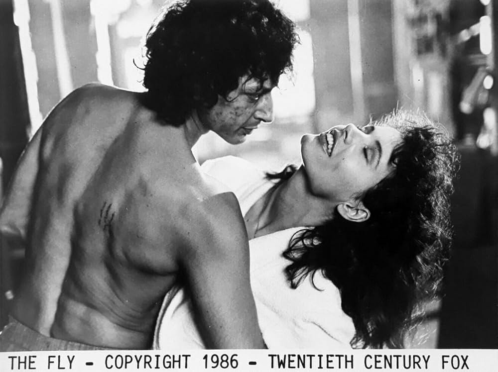 ザ・フライの画像