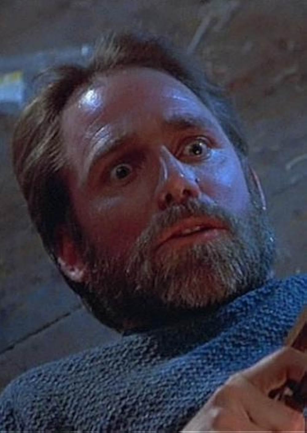 ザ・フライの画像