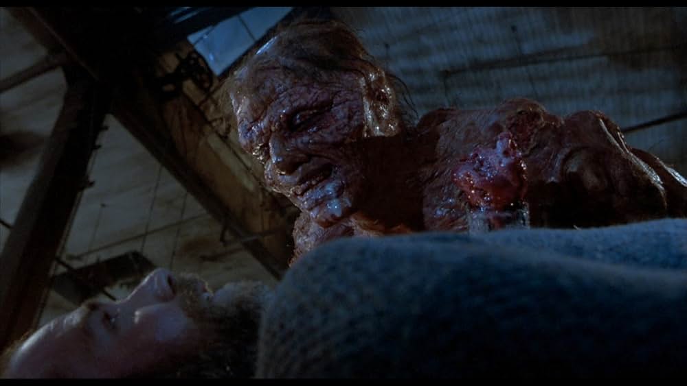 ザ・フライの画像