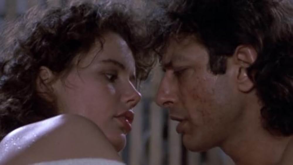 ザ・フライの画像