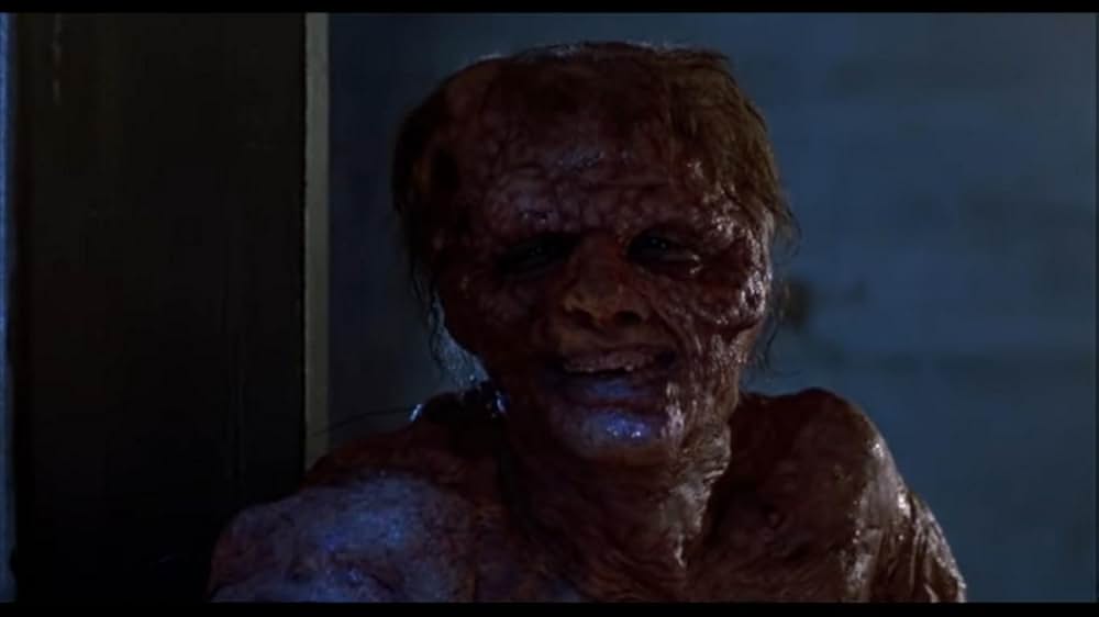 ザ・フライの画像