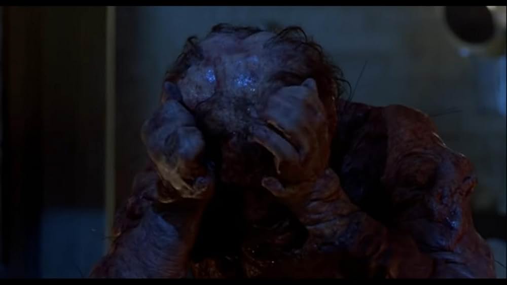 ザ・フライの画像