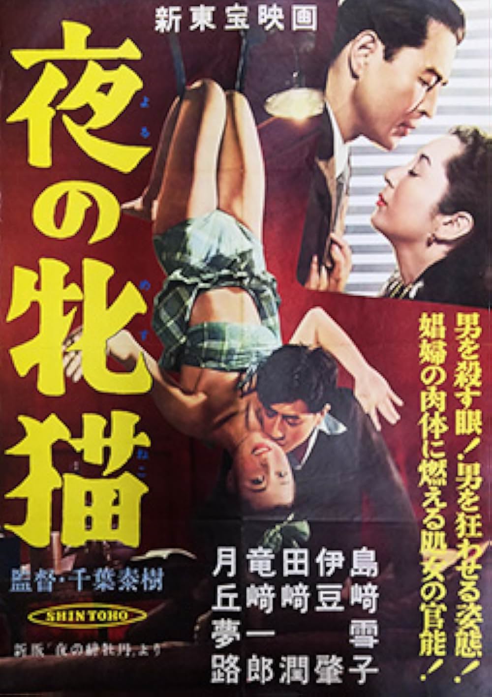 夜の緋牡丹の画像