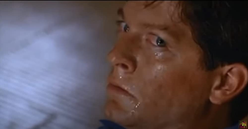 ザ・フライ2／二世誕生の画像