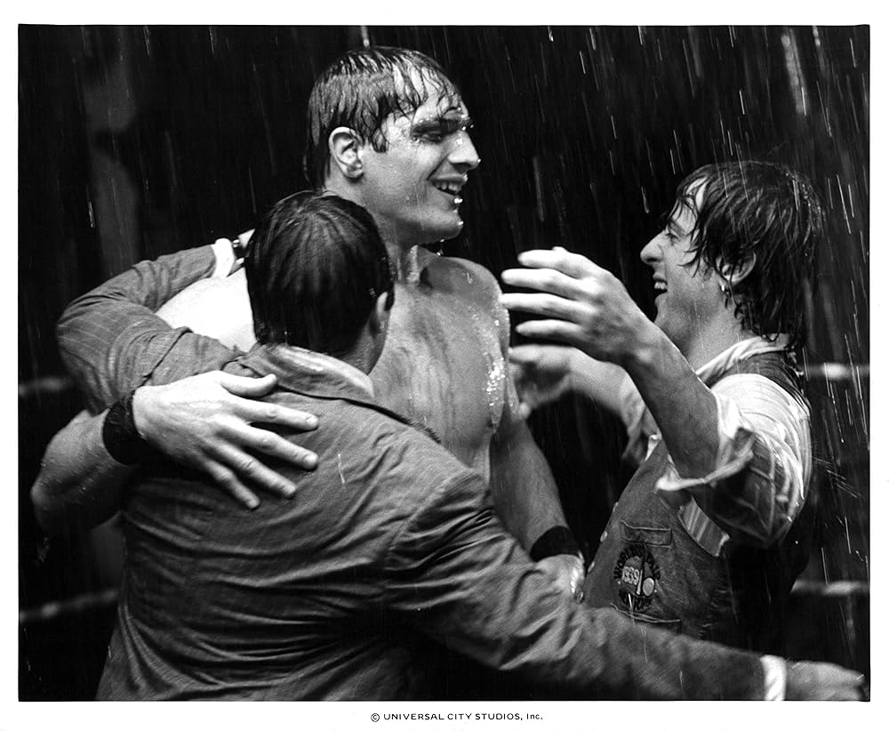 パラダイス・アレイの画像