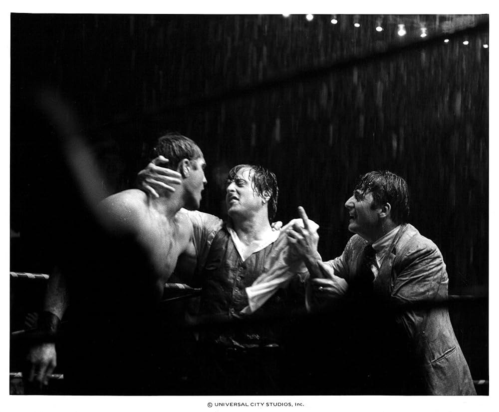 パラダイス・アレイの画像