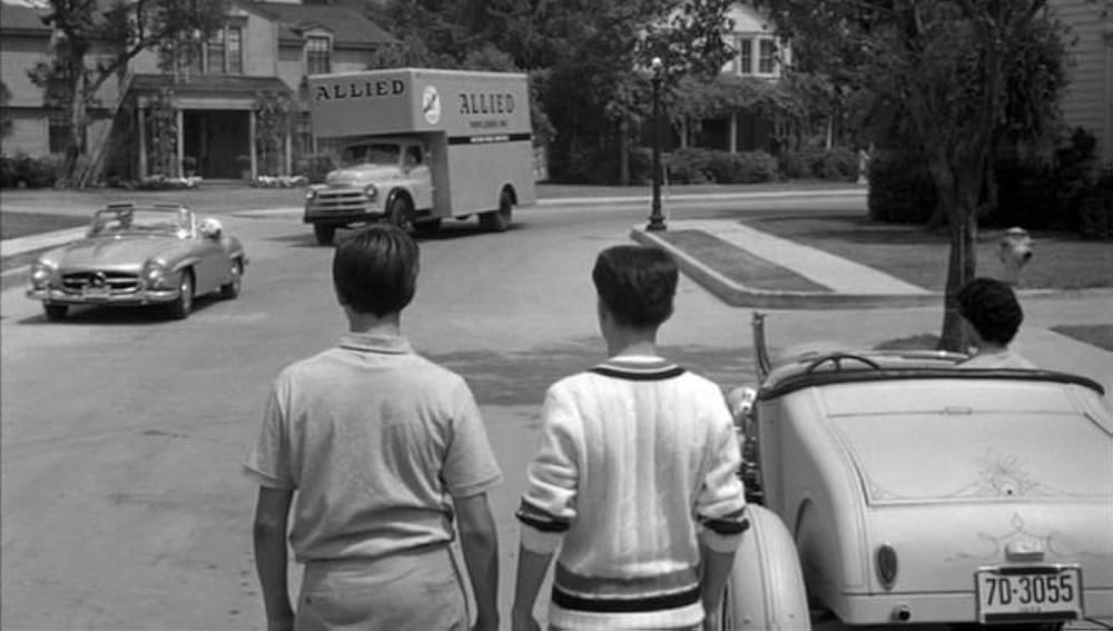 ボクはむく犬の画像