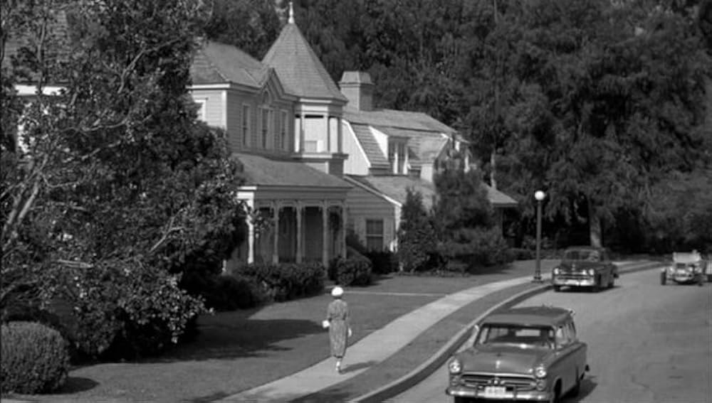 ボクはむく犬の画像