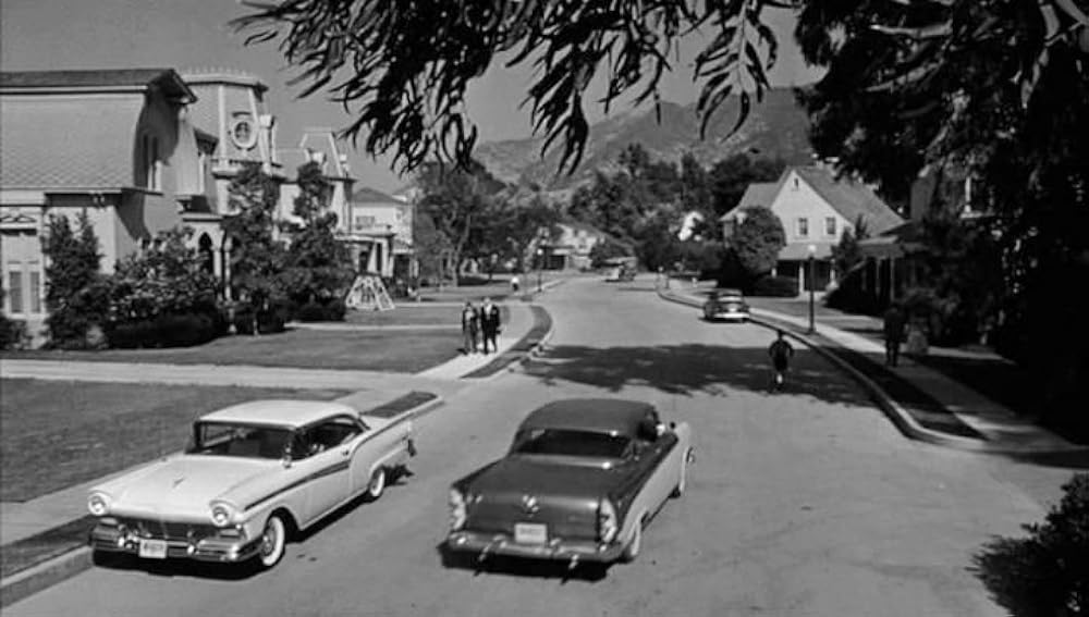 ボクはむく犬の画像