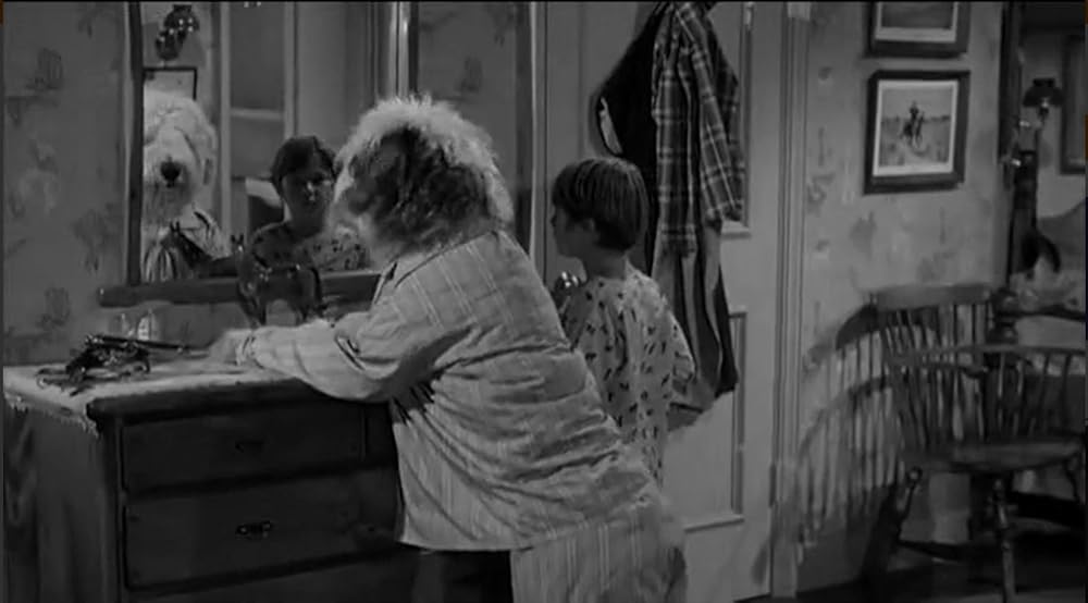 「ボクはむく犬」Kevin Corcoranの画像