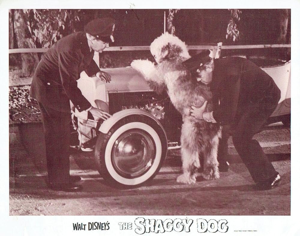 「ボクはむく犬」フォレスト・ルイス & ジェームズ・ウェスターフィールドの画像