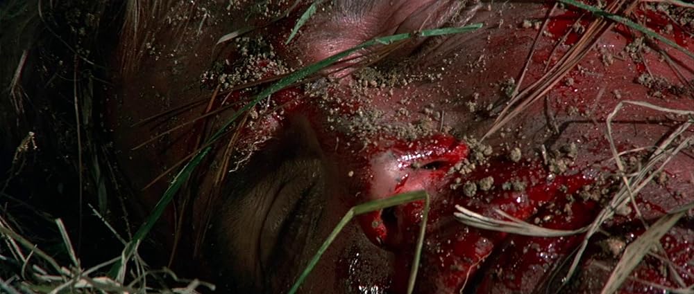 グリズリーの画像