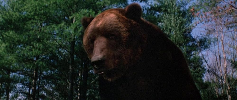 グリズリーの画像