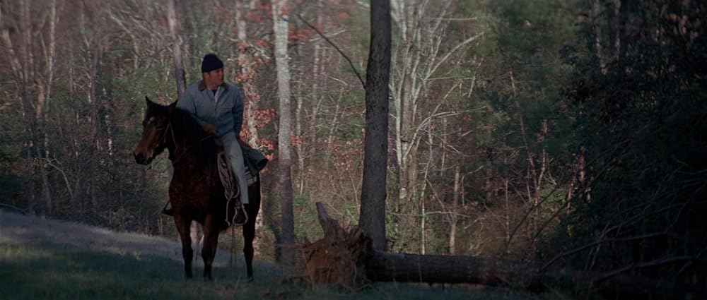 グリズリーの画像