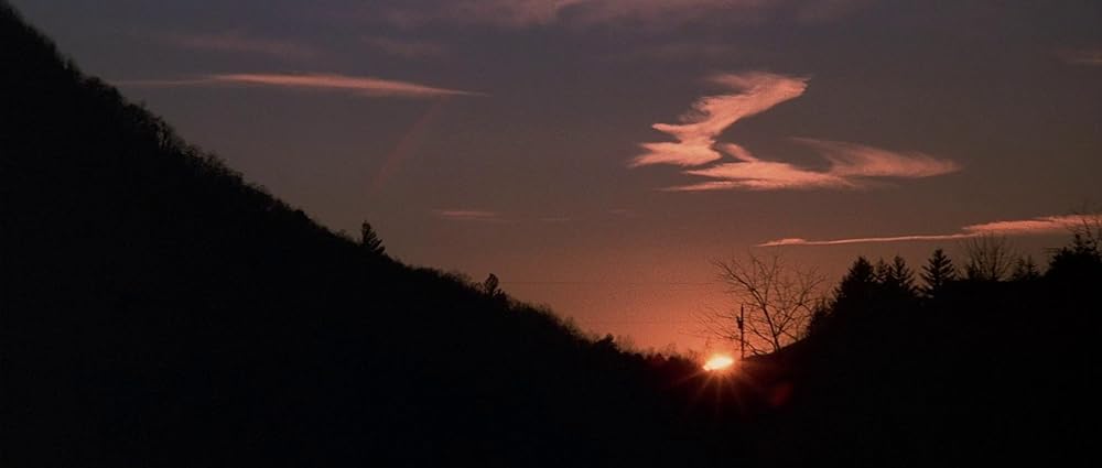 グリズリーの画像