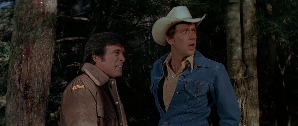 グリズリーの画像