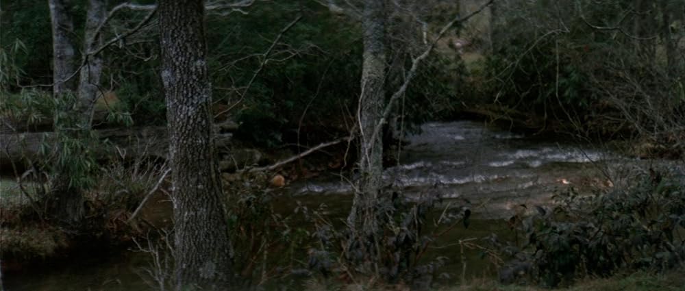 グリズリーの画像