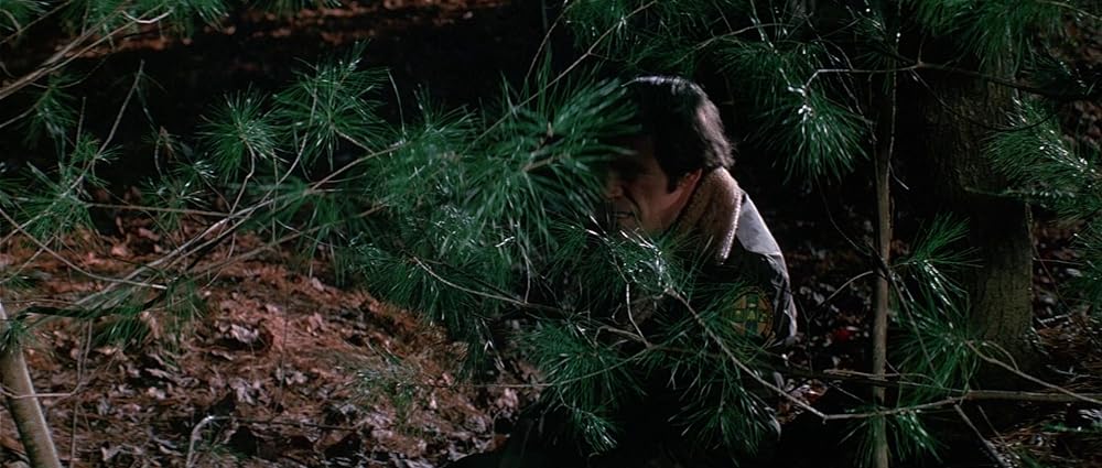 グリズリーの画像