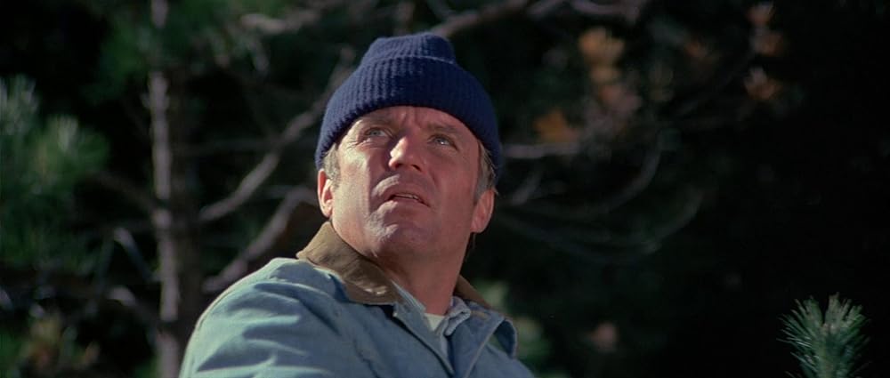 グリズリーの画像