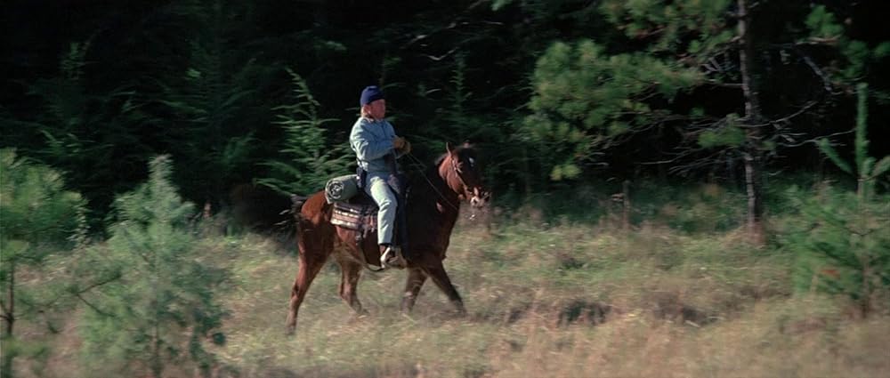 グリズリーの画像